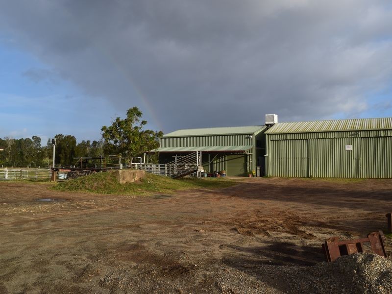 Tyson Street, South Grafton NSW 2460
