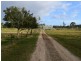 Tyson Street, South Grafton NSW 2460
