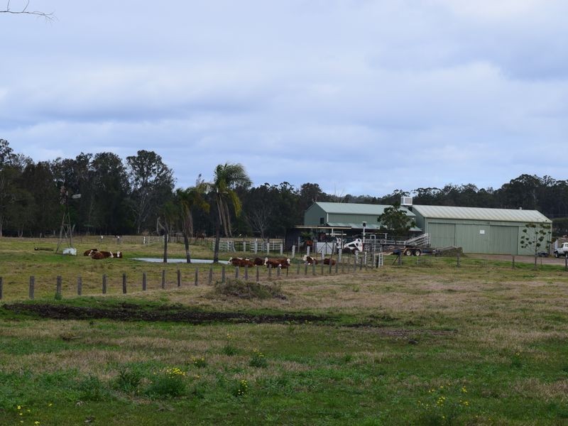 Tyson Street, South Grafton NSW 2460
