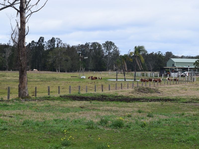 Tyson Street, South Grafton NSW 2460