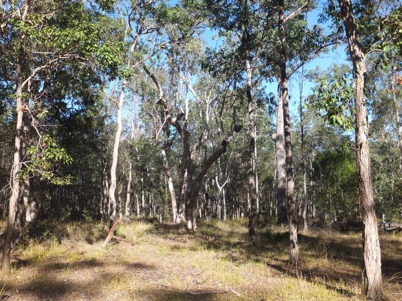 246 Orara Road, Lanitza NSW 2460