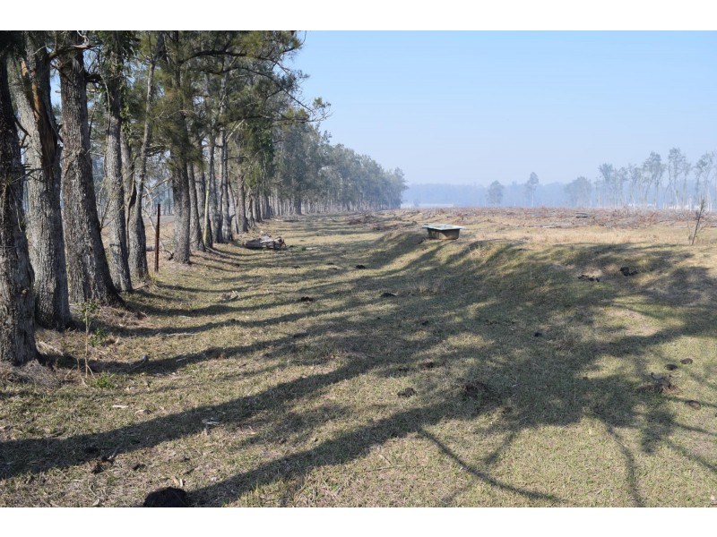 394 Omega Drive, Kungala NSW 2460