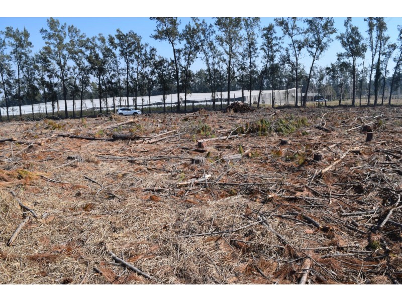 394 Omega Drive, Kungala NSW 2460