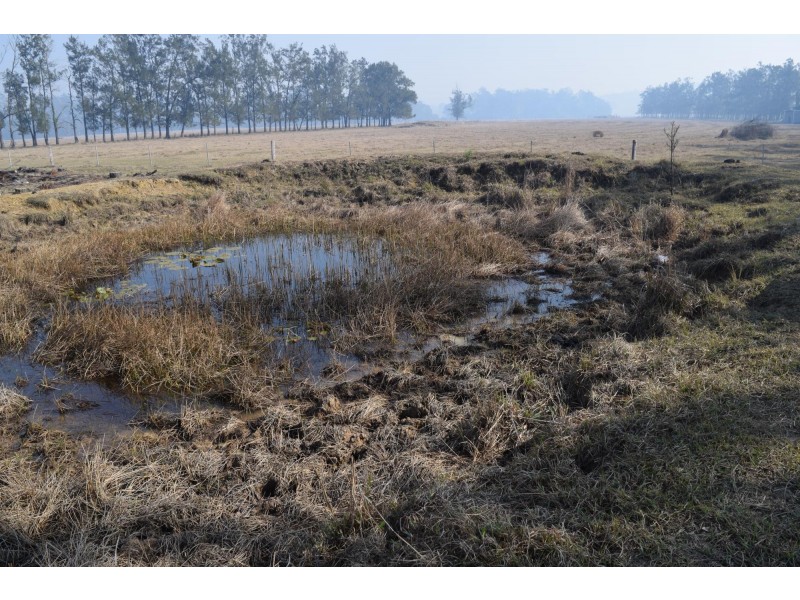 394 Omega Drive, Kungala NSW 2460