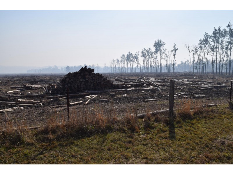 394 Omega Drive, Kungala NSW 2460