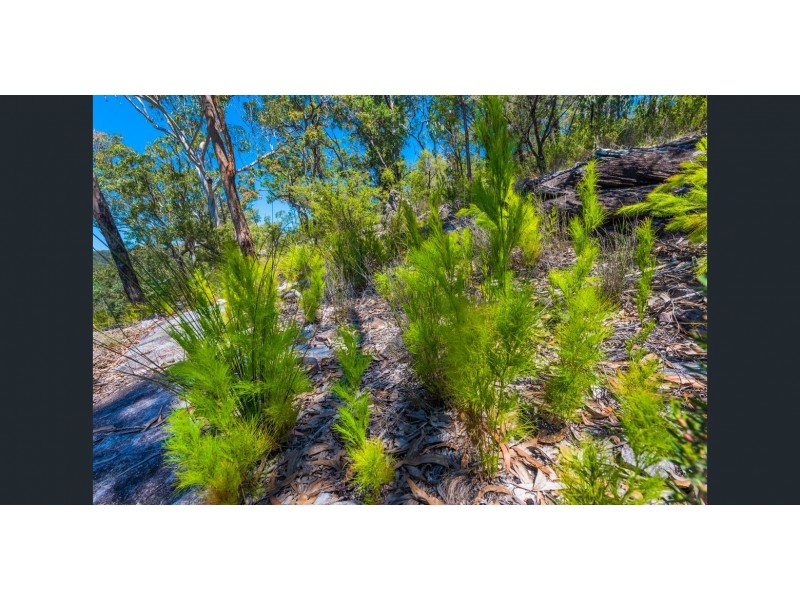 3045 Orara Way, Kremnos NSW 2460