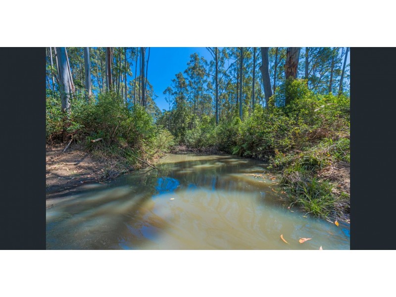 3045 Orara Way, Kremnos NSW 2460