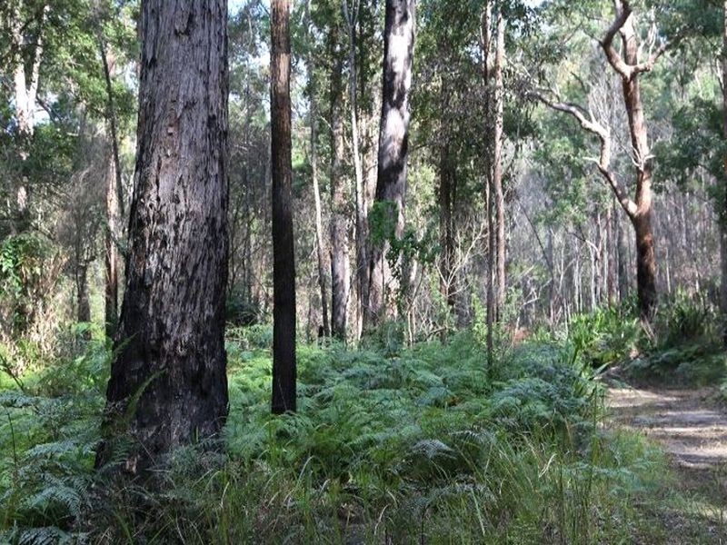 3045 Orara Way, Kremnos NSW 2460