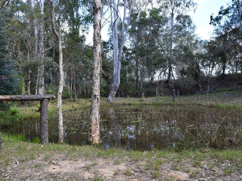 33 Dilkoon Road, Dilkoon NSW 2460