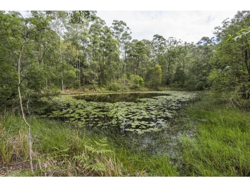 2517 Orara Way, Glenreagh NSW 2450