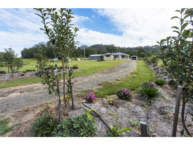 2517 Orara Way, Glenreagh NSW 2450