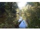 2517 Orara Way, Glenreagh NSW 2450