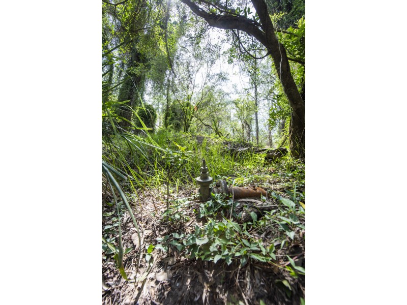 177 Greberts Road, The Whiteman NSW 2460