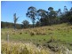 Lots 195 & Smiths Creek Road, Smiths Creek NSW 2460