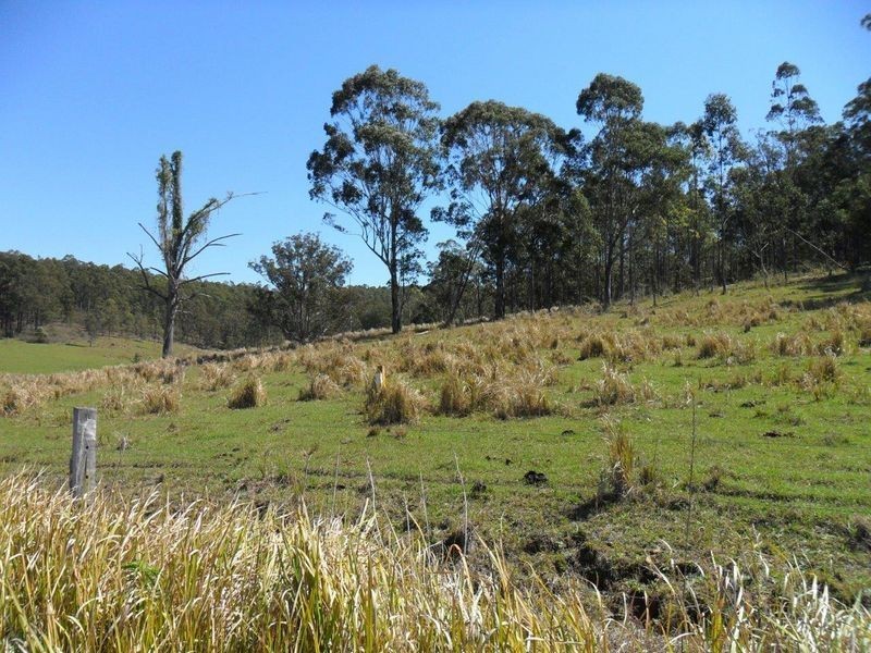 Lots 195 & Smiths Creek Road, Smiths Creek NSW 2460