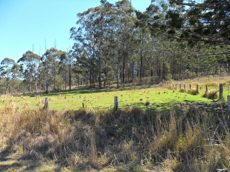 Lots 195 & Smiths Creek Road, Smiths Creek NSW 2460