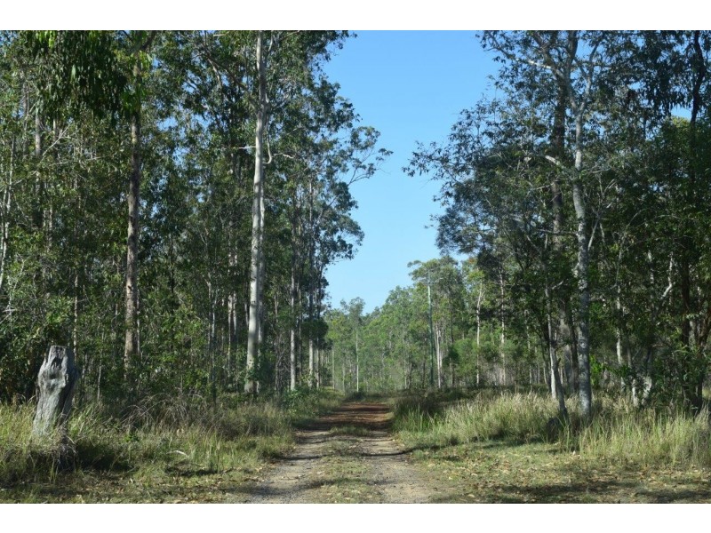 768 Coaldale Road, Fortis Creek NSW 2460