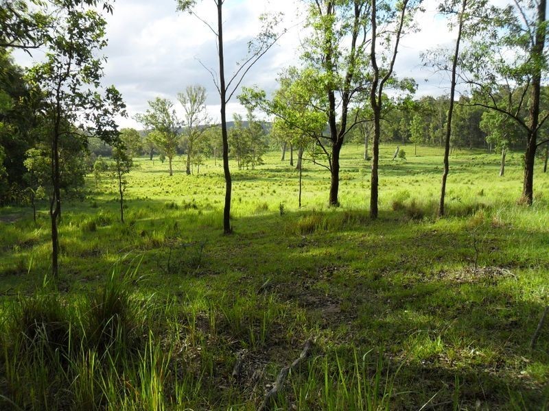 Lots 22 & Upper Fine Flower Road, Upper Fine Flower NSW 2460