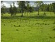 Lots 22 & Upper Fine Flower Road, Upper Fine Flower NSW 2460