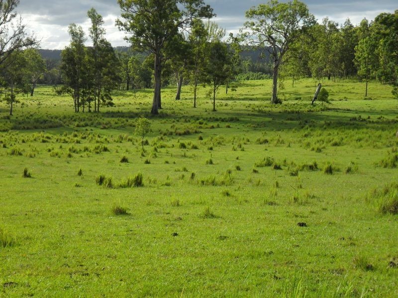 Lots 22 & Upper Fine Flower Road, Upper Fine Flower NSW 2460