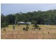 260 Ainsworth Road, Leeville NSW 2470