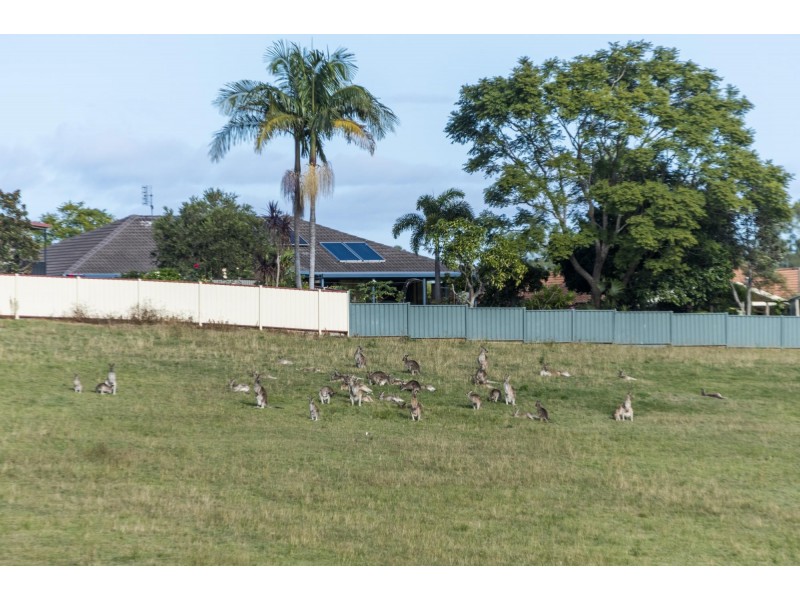 10 Bimble Avenue, South Grafton NSW 2460