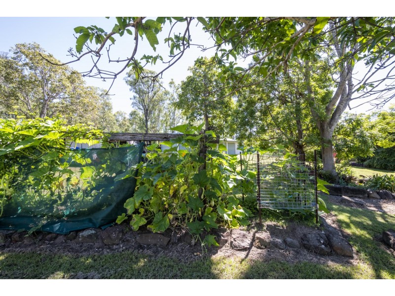 2093 Summerland Way, Warragai Creek NSW 2460