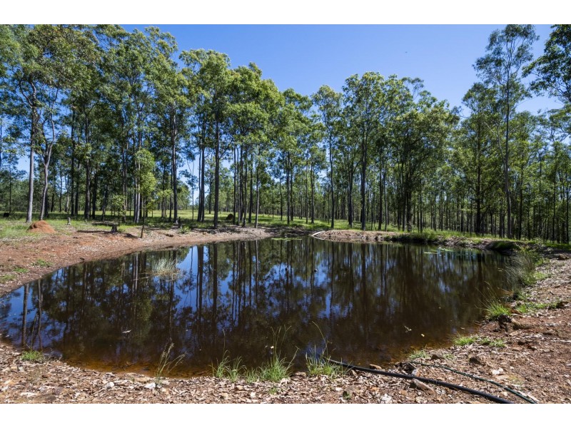 2093 Summerland Way, Warragai Creek NSW 2460