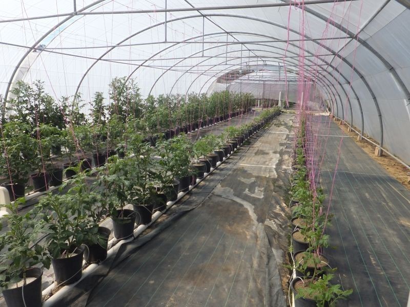 85 McGills Road, Kremnos NSW 2460