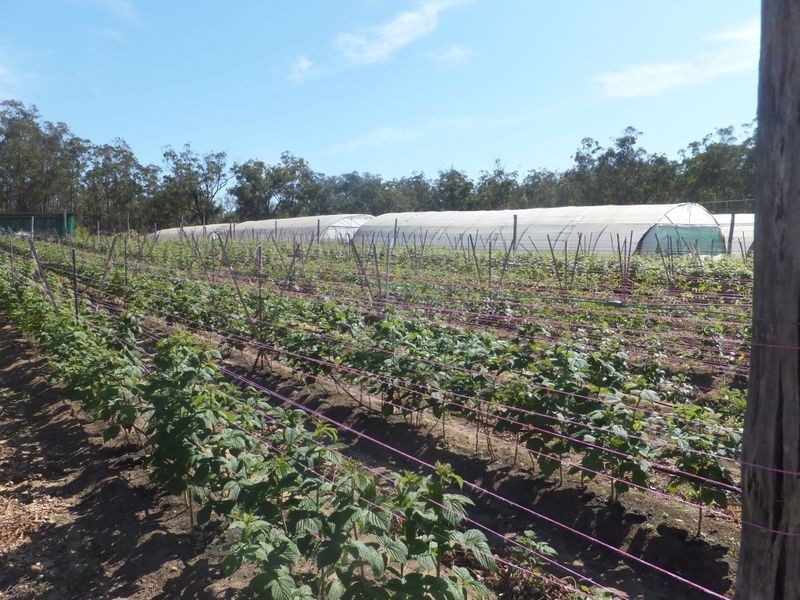 85 McGills Road, Kremnos NSW 2460