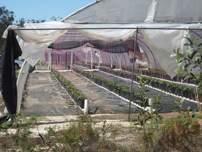 85 McGills Road, Kremnos NSW 2460