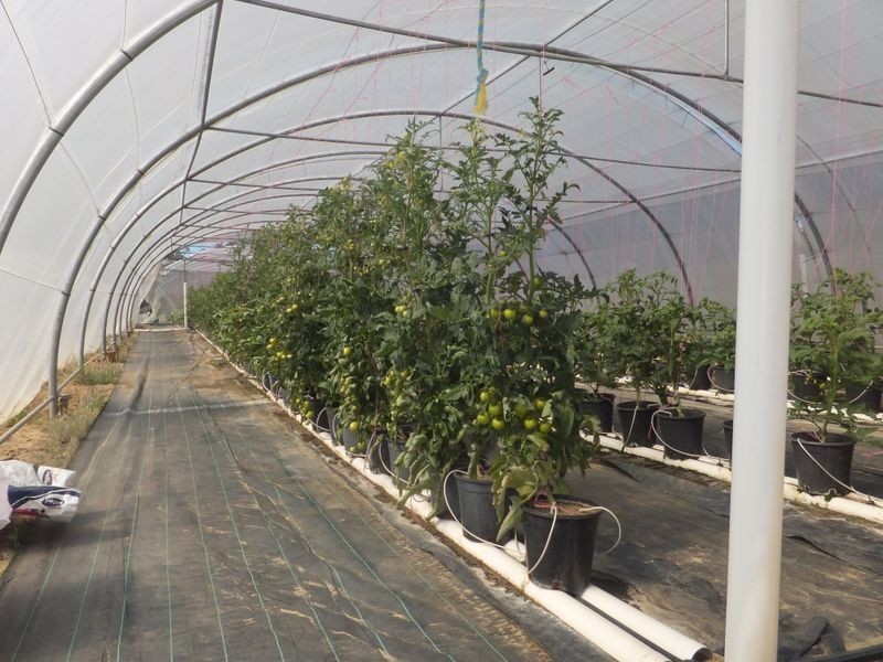 85 McGills Road, Kremnos NSW 2460