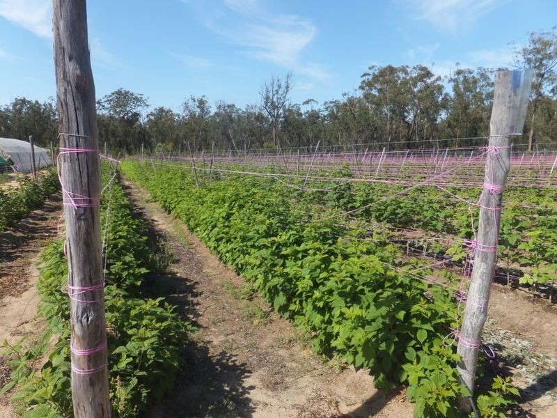 85 McGills Road, Kremnos NSW 2460