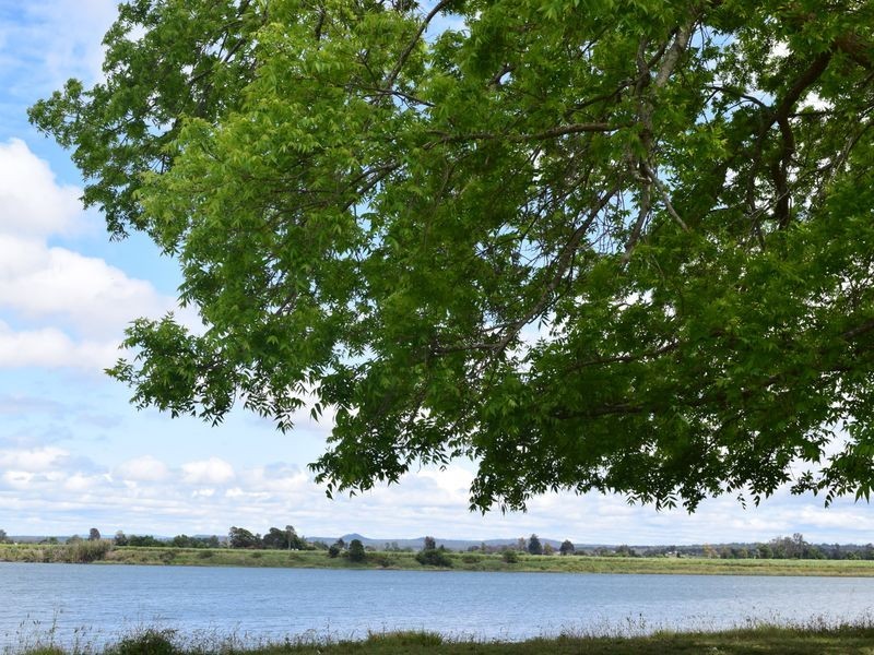 1137-1139 Pacific Highway, Ulmarra NSW 2462