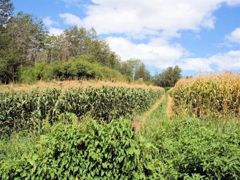 3610 Orara Way, Kremnos NSW 2460