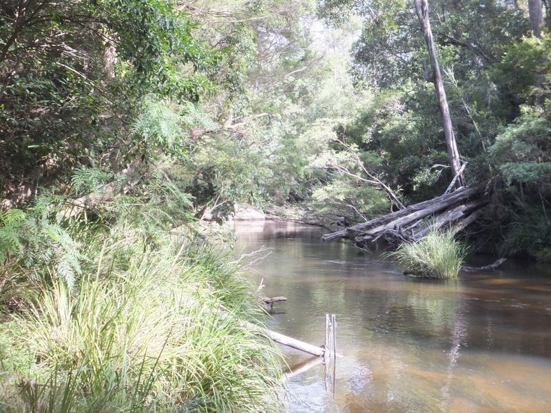 3610 Orara Way, Kremnos NSW 2460