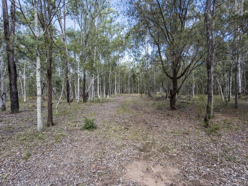 288 Black Swan Drive, Coutts Crossing NSW 2460