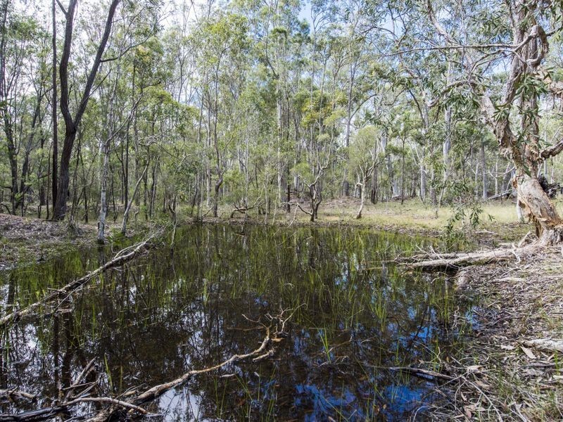 288 Black Swan Drive, Coutts Crossing NSW 2460