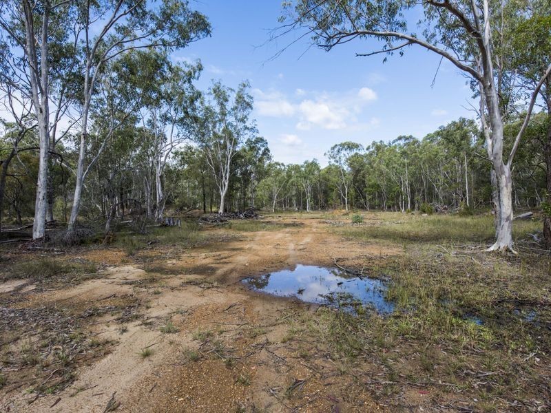 288 Black Swan Drive, Coutts Crossing NSW 2460