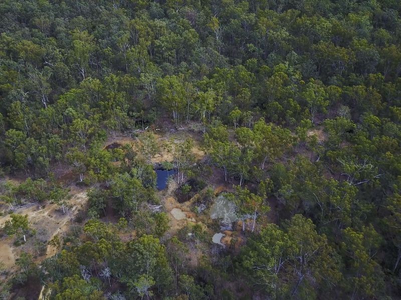 288 Black Swan Drive, Coutts Crossing NSW 2460