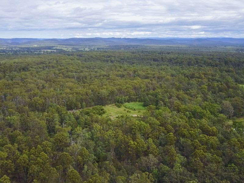 288 Black Swan Drive, Coutts Crossing NSW 2460