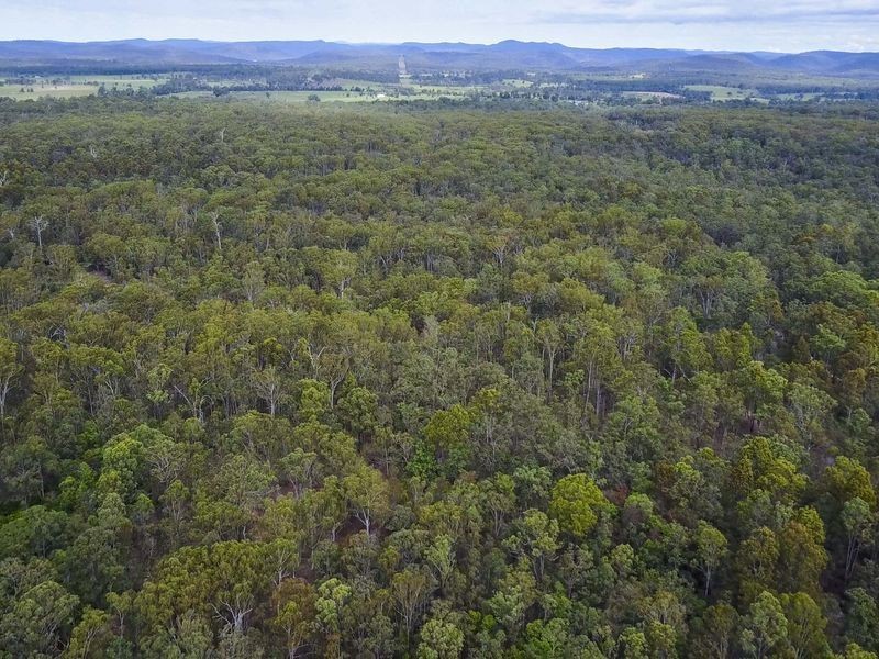 288 Black Swan Drive, Coutts Crossing NSW 2460