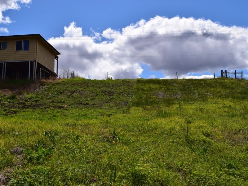 37 Grafton Street, Copmanhurst NSW 2460