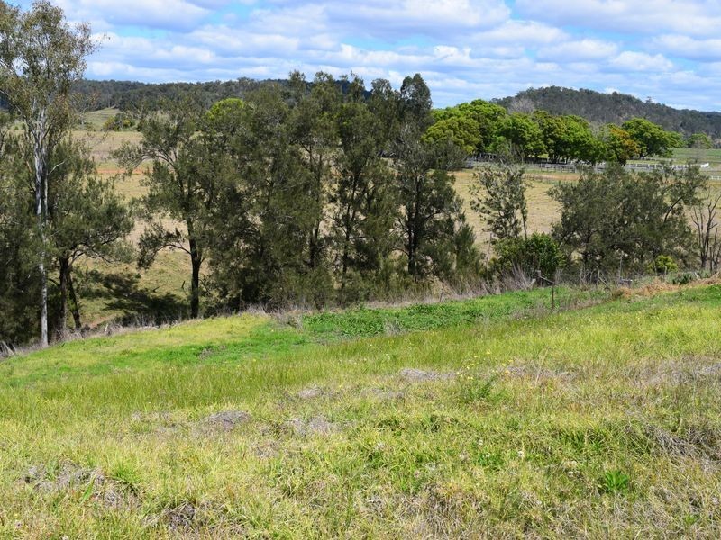 37 Grafton Street, Copmanhurst NSW 2460