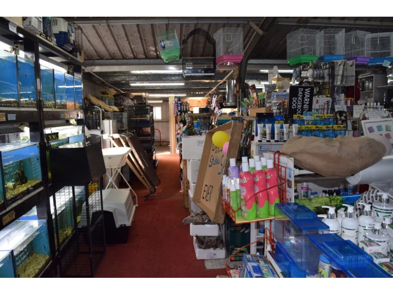 99 Skinner Street, South Grafton NSW 2460