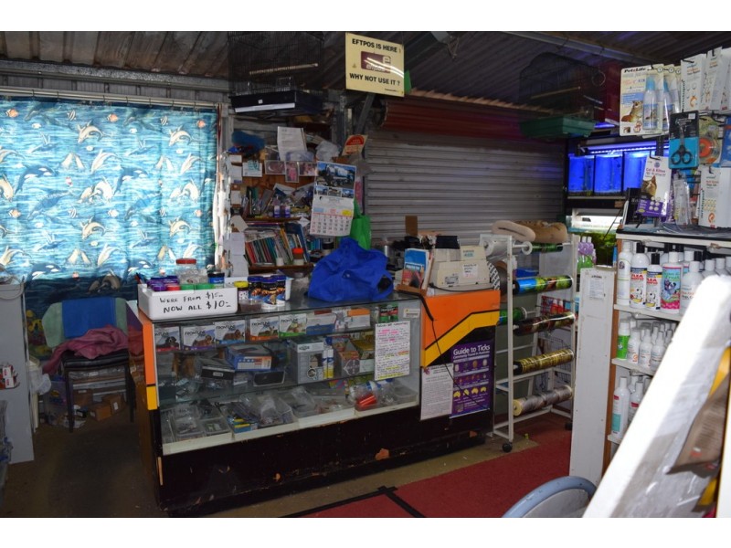 99 Skinner Street, South Grafton NSW 2460