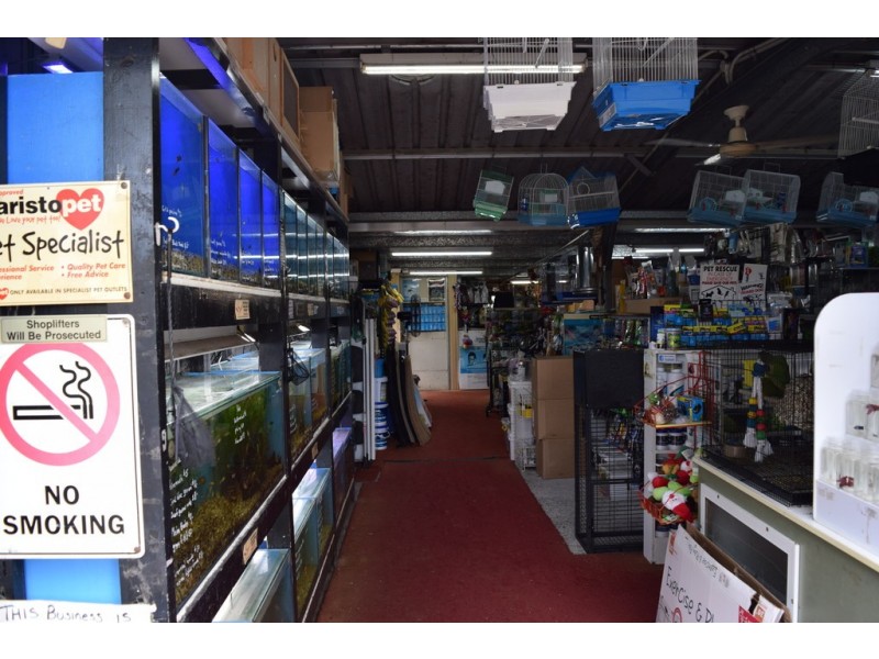 99 Skinner Street, South Grafton NSW 2460