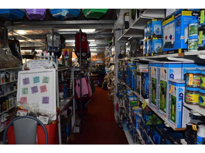 99 Skinner Street, South Grafton NSW 2460