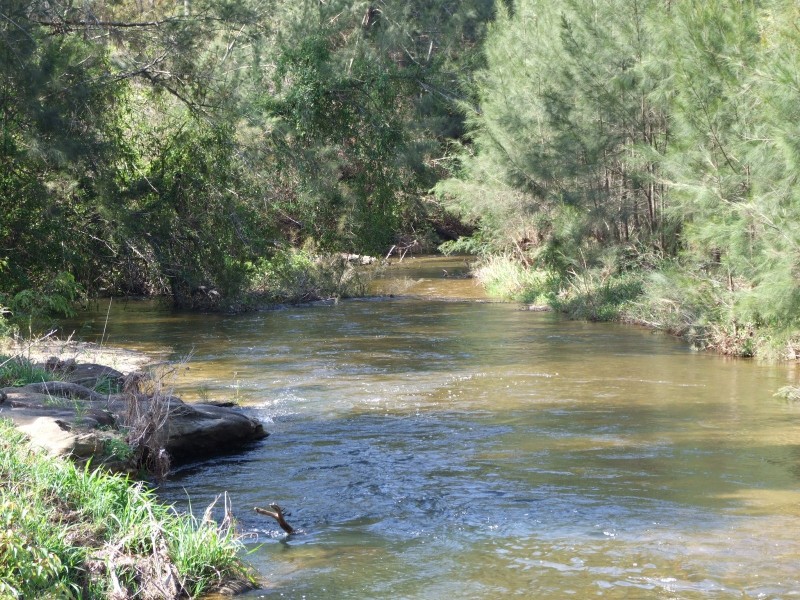 2324B Armidale Road, Blaxlands Creek NSW 2460