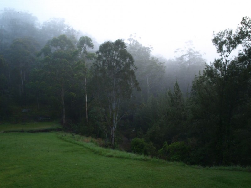 2324B Armidale Road, Blaxlands Creek NSW 2460